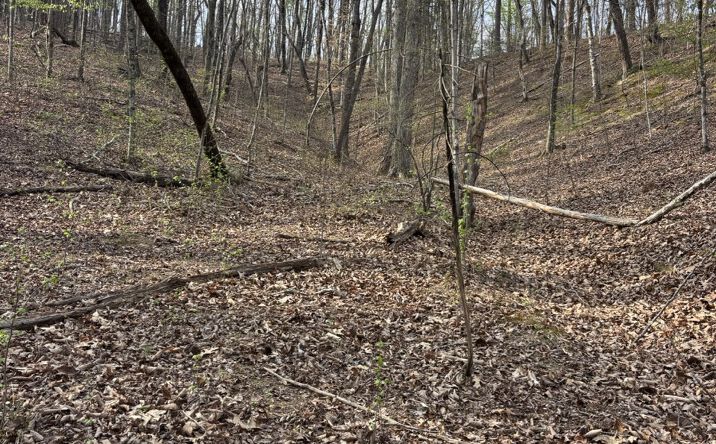 Pictures of Mixed Use, Land property located at 408 Back Valley Road, Sale Creek, TN 37373 for sales - image #1
