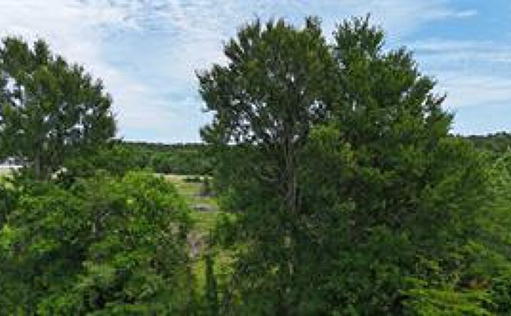 Pictures of Land property located at TBD 48 Acres US Highway 59 S, Livingston, TX 77351 for sales - image #1
