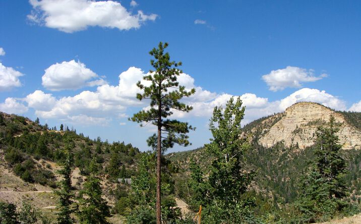 Pictures of Land property located at Spruce Drive, Alton, UT 84710 for sales - image #1