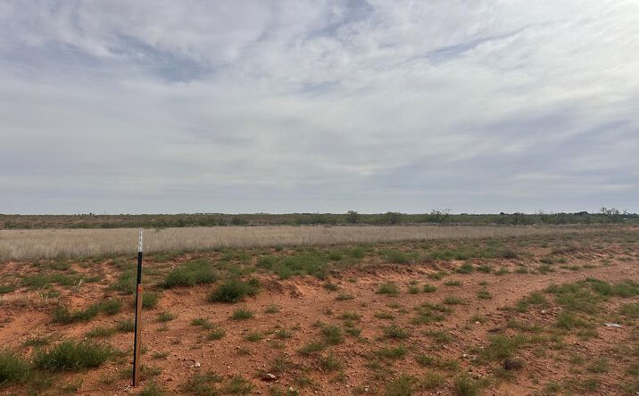 Pictures of Land property located at TRACT 8 County Rd 308, Seminole, TX 79360 for sales - image #1