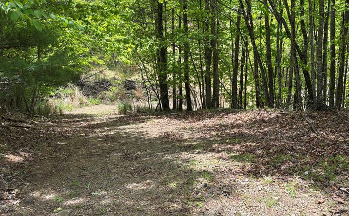 Pictures of Land, Multifamily property located at 389 Live Oak Lane, Galax, VA 24333 for sales - image #1