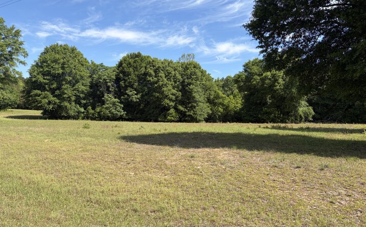Pictures of Land property located at 0 Monterey Road, Forest Home, AL 36030 for sales - image #1