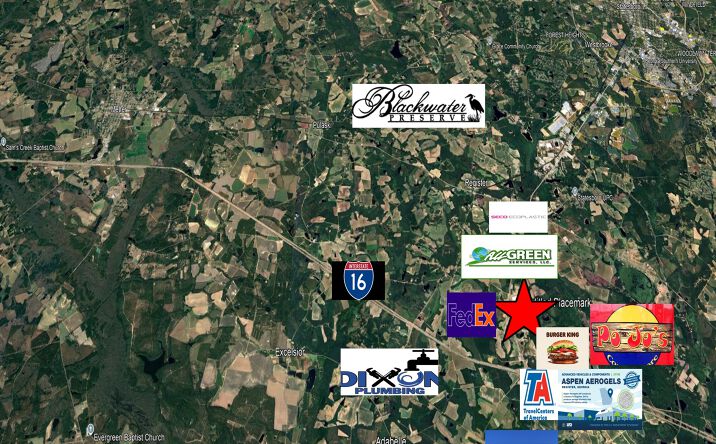 Pictures of Land property located at 4530 US HWY 301 S, REGISTER, GA 30452-5036 for sales - image #1