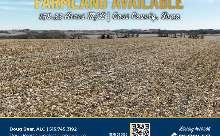 Pictures of Land property located at 660th Street & Wichita Road, Cumberland, IA 50843 for sales - image #1