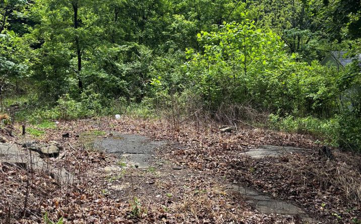 Pictures of Special Purpose property located at Carolina Avenue, Bluefield, WV 24701 for sales - image #1