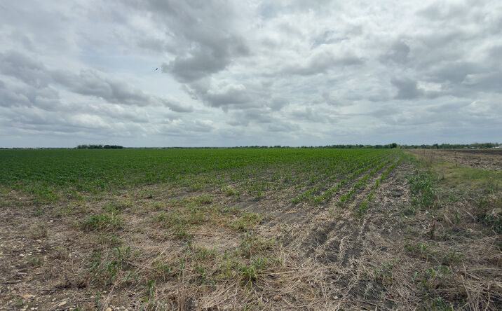 Pictures of Land property located at 0 County Road 405, Taylor, TX 76574 for sales - image #1