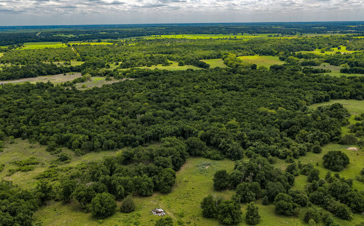 Pictures of Mixed Use, Land property located at County Road 302, Rockdale, TX 76567 for sales - image #1