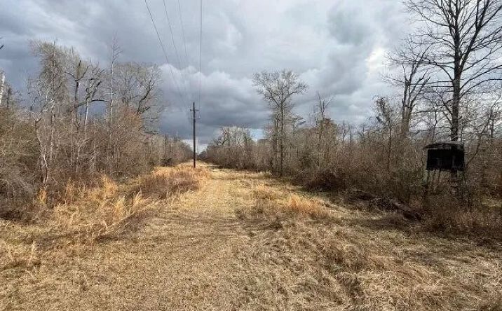 Pictures of Land property located at 2600 Martin Tram Road, 51796, LA 70658 for sales - image #1