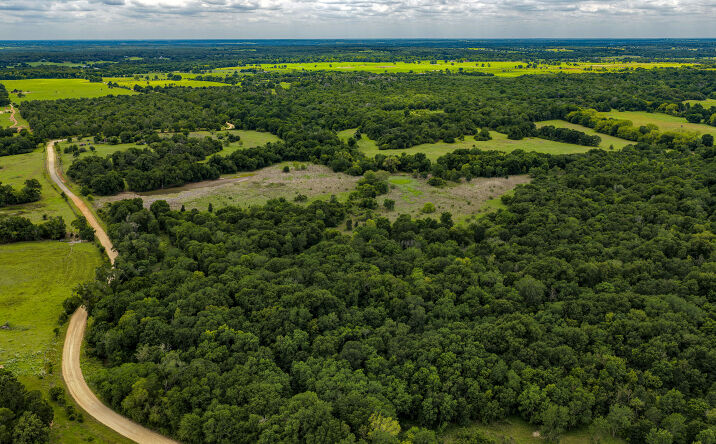 Pictures of Mixed Use, Land property located at County Road 414, Lexington, TX 78947 for sales - image #1