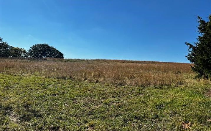 Pictures of Land property located at 11247 S Buckholt, Caddo, OK 74729 for sales - image #1