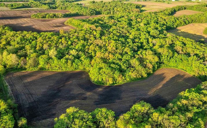Pictures of Land, Special Purpose property located at State Highway DD Highway, Pattonsburg, MO 64670 for sales - image #1