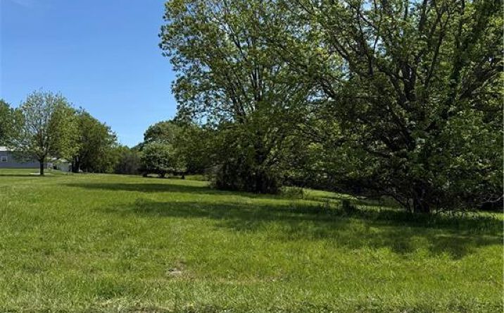 Pictures of Land, Special Purpose property located at Lot 1028 Lake Viking Terrace, Gallatin, MO 64640 for sales - image #1