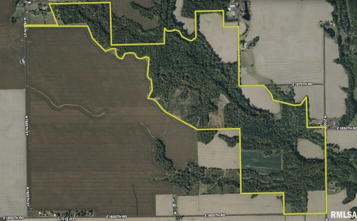 Pictures of Land property located at N 2100th Street, Chrisman, IL 61924 for sales - image #1