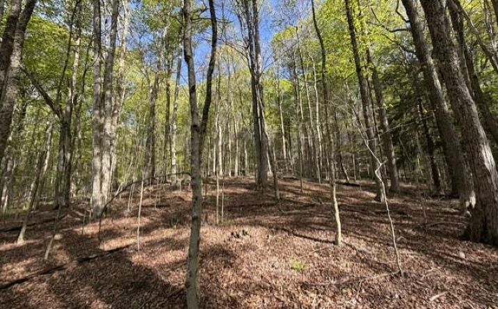 Pictures of Land property located at Glenwild Drive, Bethel, NY 12720 for sales - image #1