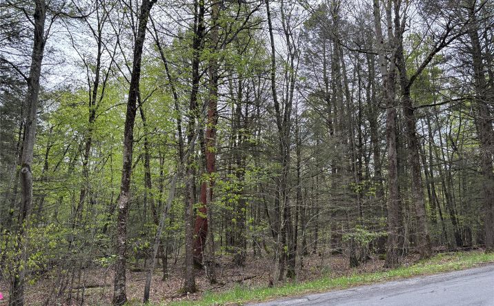 Pictures of Land, Multifamily property located at Braden Road, Wawarsing, NY 12763 for sales - image #1