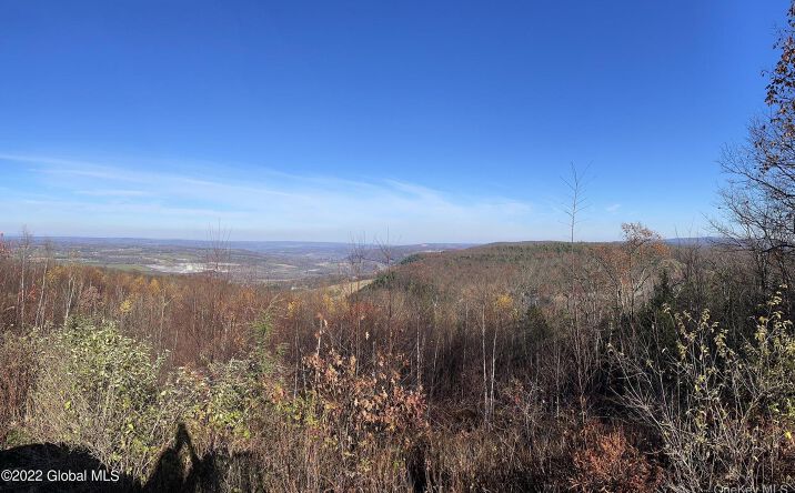 Pictures of Land, Special Purpose property located at L26 & L27 Ecker Hollow Road, Cobleskill, NY 12043 for sales - image #1