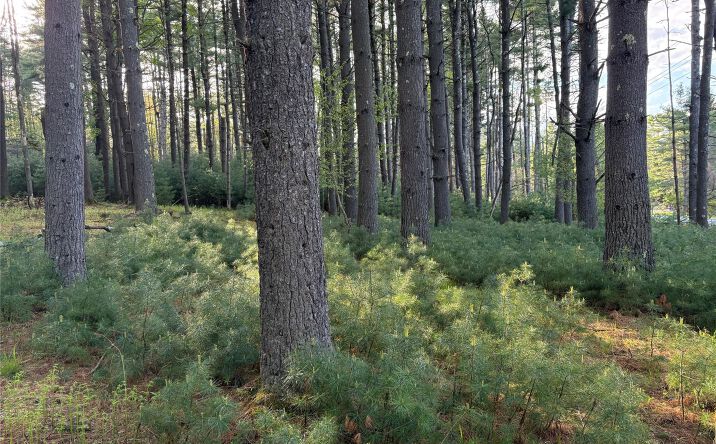 Pictures of Land, Multifamily property located at Airport Road, Highland, NY 12528 for sales - image #1