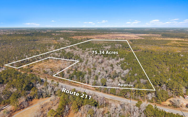 Pictures of Retail property located at Tr-2 75.34 Ac, Bolivia, NC 28422 for sales - image #1