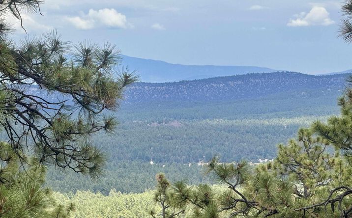 Pictures of Land property located at TBD Oso Ridge Lookout Road, Grants, NM 87020 for sales - image #1