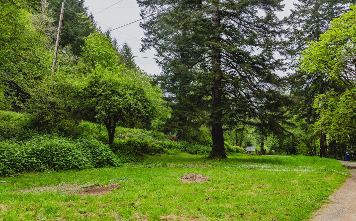 Pictures of Land, Multifamily, Mixed Use, Office, Special Purpose, Retail property located at TL01100 N New Bridge Road, Otis, OR 97368 for sales - image #1