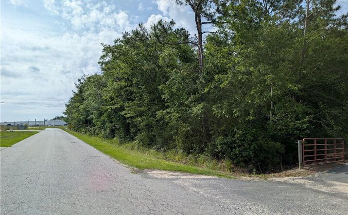 Pictures of Land property located at 0 Langdale Drive, Nashville, GA 31639 for sales - image #1