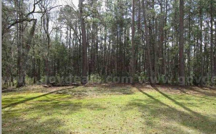 Pictures of Mixed Use, Land property located at South Cedar Street, Springfield, GA 31329 for sales - image #1