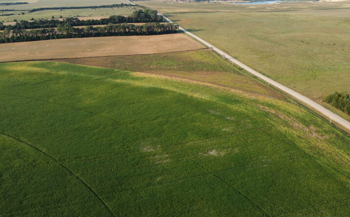 Pictures of Land property located at 552nd Avenue, Pierce, NE 68767 for sales - image #1