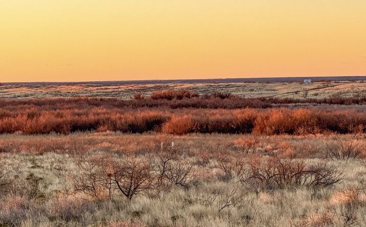 Pictures of Land property located at SW Corner of Hwy 380 & County Road 595, Brownfield, TX 79316 for sales - image #1
