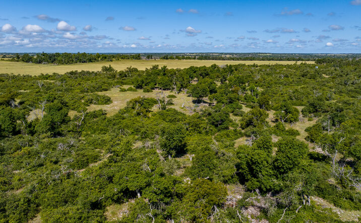 Pictures of Land property located at 875 Gypsum Mine Road, Fredericksburg, TX 78624 for sales - image #1