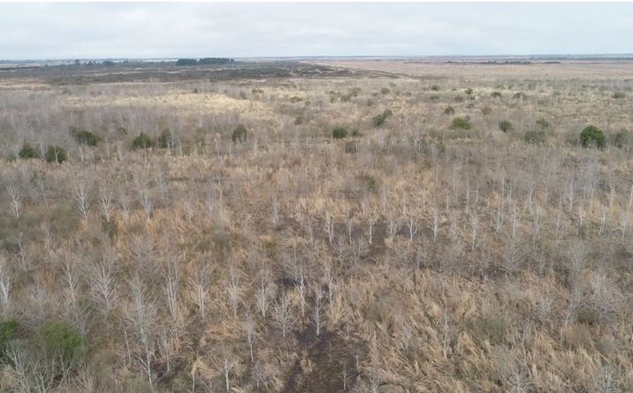 Pictures of Land property located at TBD Cal Cam Line Rd, Lake Charles, LA 70607 for sales - image #1
