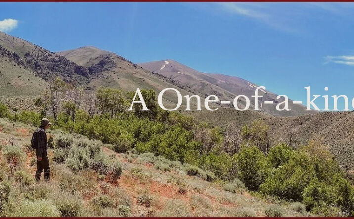 Pictures of Land property located at 54705 Grass Valley Road, Winnemucca, NV 89445 for sales - image #1
