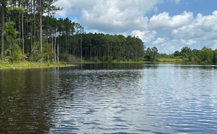 Pictures of Land property located at 186 New Arbor Road West, Poplarville, MS 39470 for sales - image #1