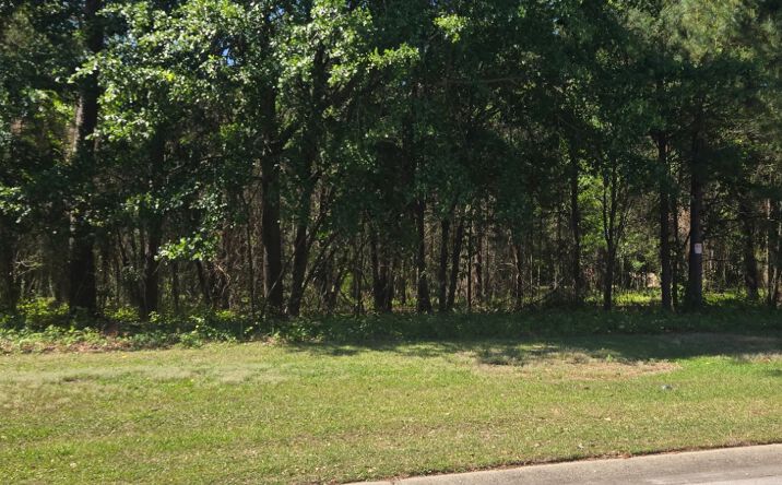 Pictures of Land property located at 4028 South Main Street, Hope Mills, NC 28348 for sales - image #1