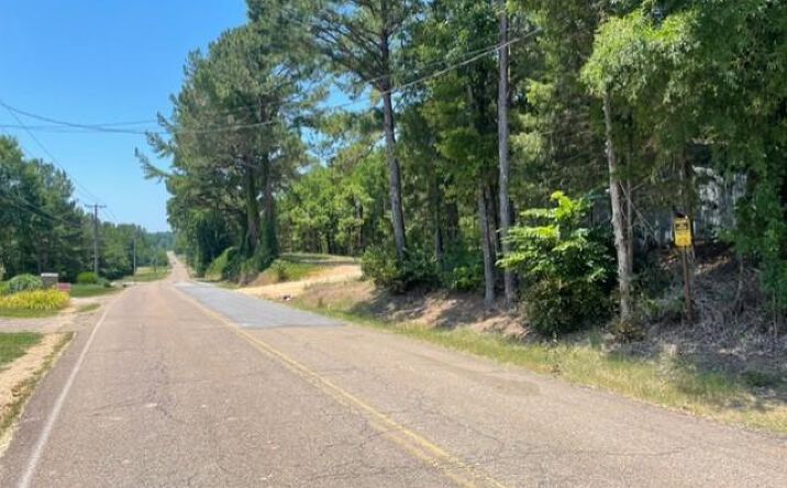 Pictures of Land, Multifamily property located at India Rd. Lot 3, Paris, TN 38242 for sales - image #1