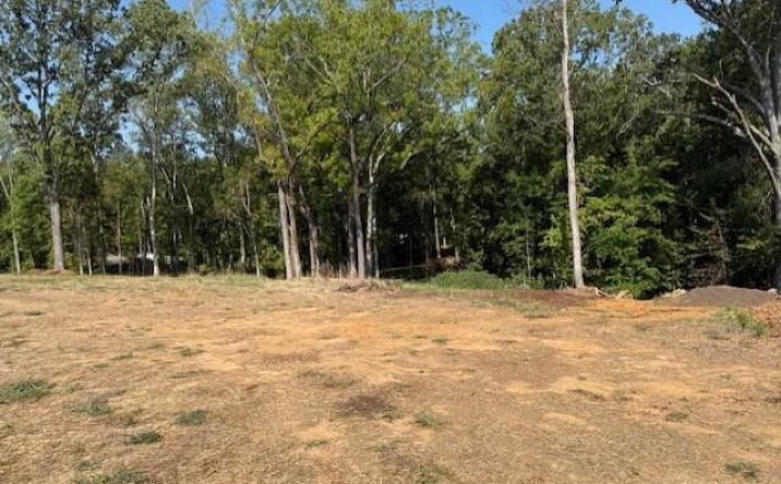 Pictures of Land, Multifamily property located at India Rd. Lot 2, Paris, TN 38242 for sales - image #1