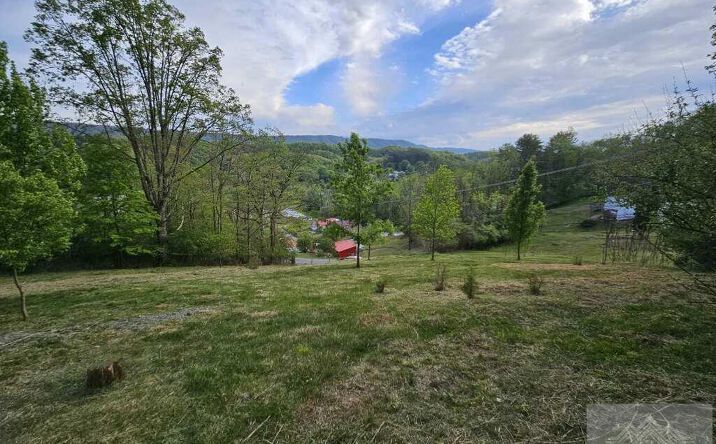 Pictures of Land, Multifamily property located at Grant St., Bluefield, VA 24605 for sales - image #1