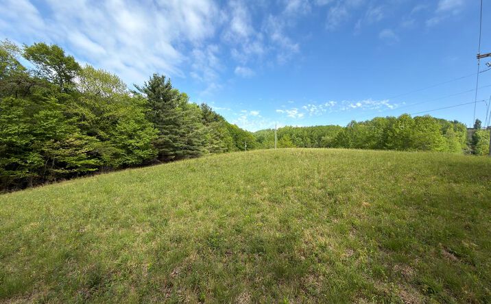 Pictures of Land property located at TBD Wards Gap Road, Fancy Gap, VA 24328 for sales - image #1