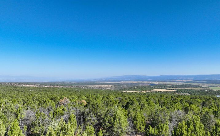 Pictures of Land property located at 246 La Mesa Vis Dr, Norwood, CO 81423 for sales - image #1