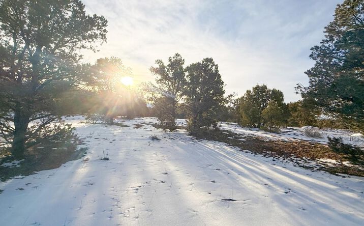 Pictures of Land property located at 1893 Cotton Road, Montrose, CO 81403 for sales - image #1