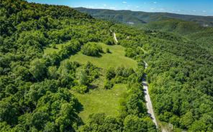 Pictures of Land property located at HWY 74, Ponca, AR 72670 for sales - image #1