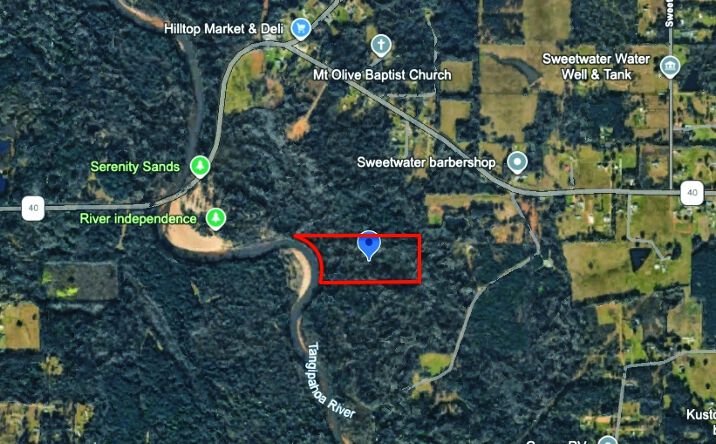 Pictures of Land property located at Independence, LA, Independence, LA 70443 for sales - image #1