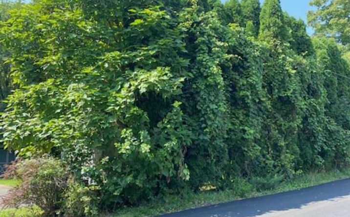 2 Elting Place, Highland