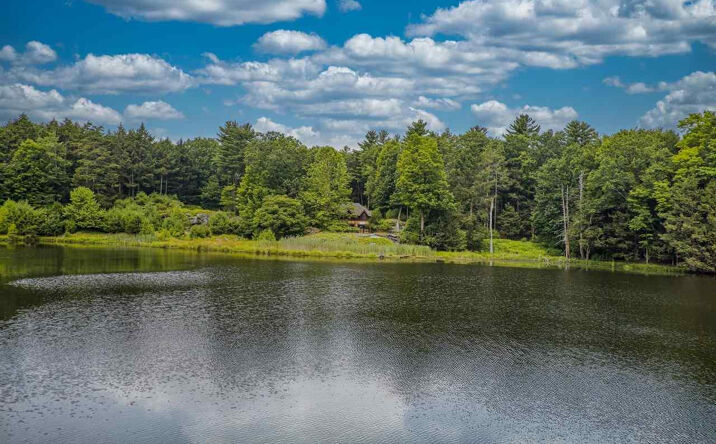 Eastwoods, Woodstock