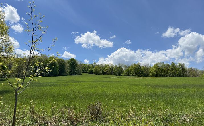 Pictures of Land property located at 164 Ray Cottone Road, Roxbury, NY 12474 for sales - image #1