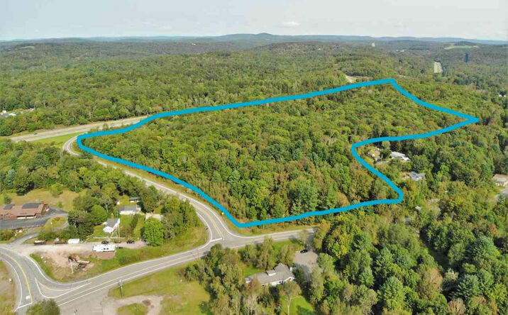 Pictures of Land property located at ***Tbd Ny-17, Harris, NY 12742 for sales - image #1