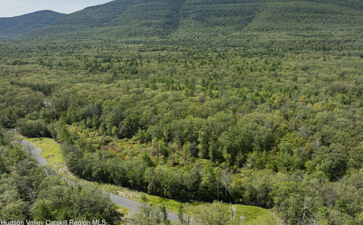 Pictures of Land property located at Acorn Trail Terrace, Saugerties, NY 12477 for sales - image #1