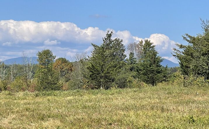 Pictures of Land property located at Lot 1 Crestview Ridge Lane, Stone Ridge, NY 12440 for sales - image #1
