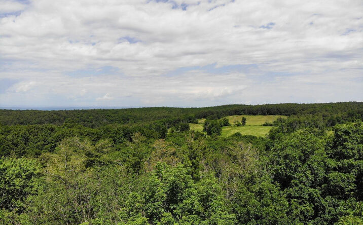 Pictures of Land property located at Reed Road, Austerlitz, NY 12017 for sales - image #1