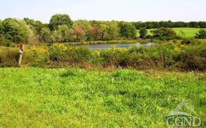 Pictures of Land property located at County Route 19, Livingston, NY 12541 for sales - image #1