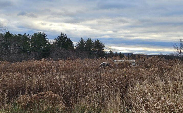 Pictures of Land property located at 295 Shellstone Rd, Amsterdam, NY 12010 for sales - image #1